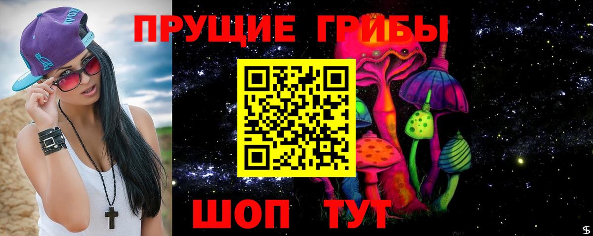 Галлюциногенные грибы GOLDEN TEACHER  Вход с VPN  Крымск 